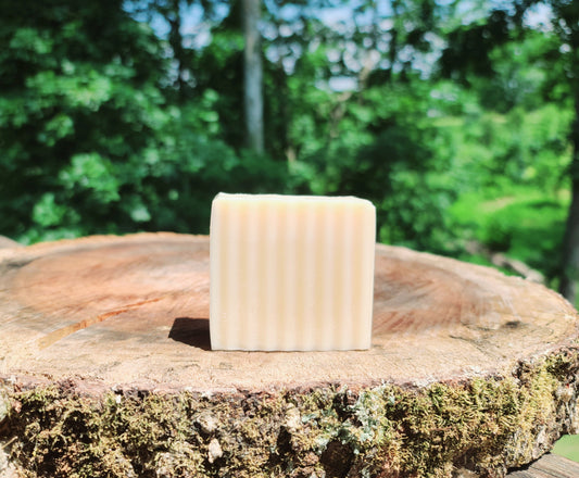 Unscented Kokum Butter Soap