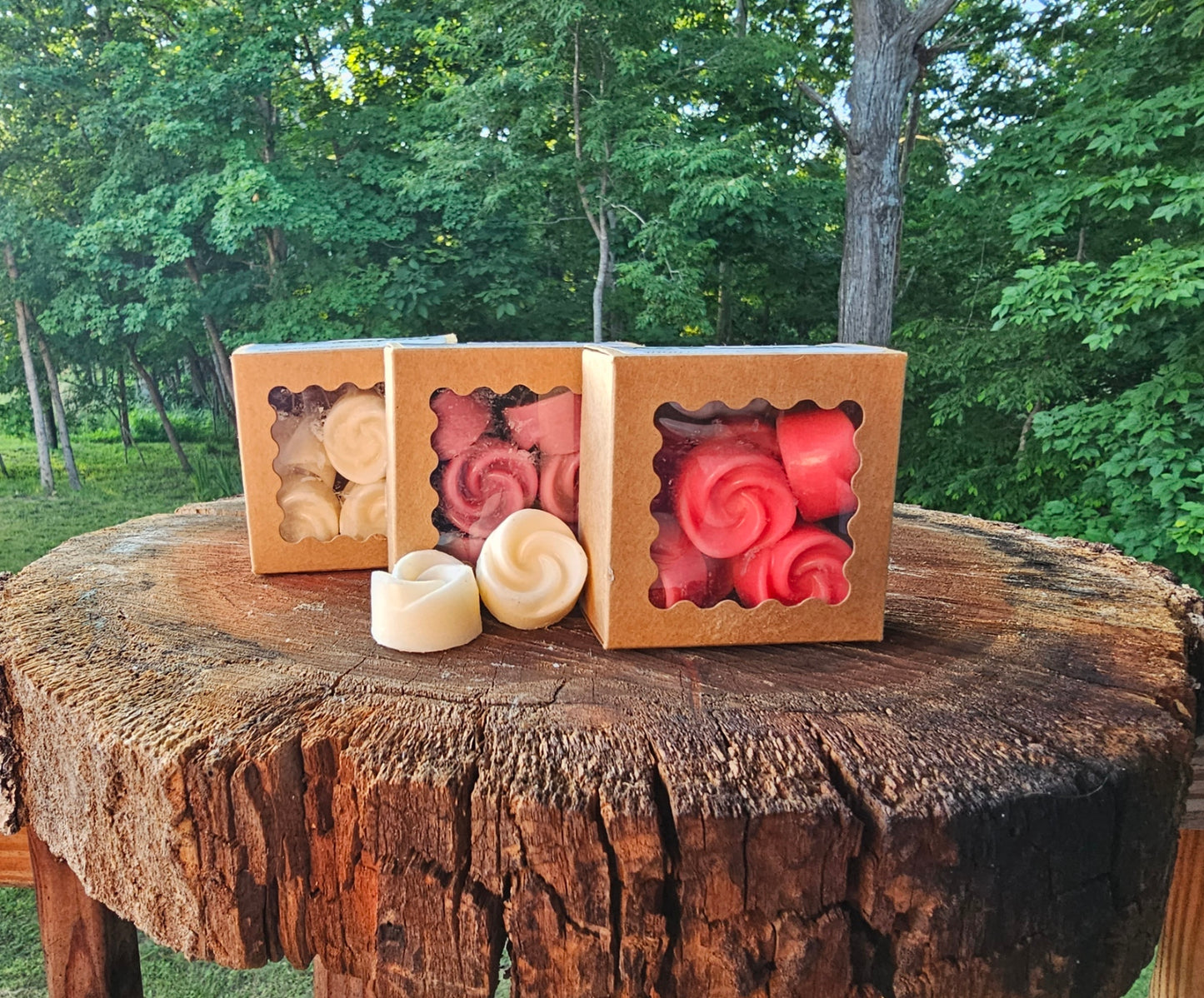 Wax Melts (Soy & Coconut Wax)